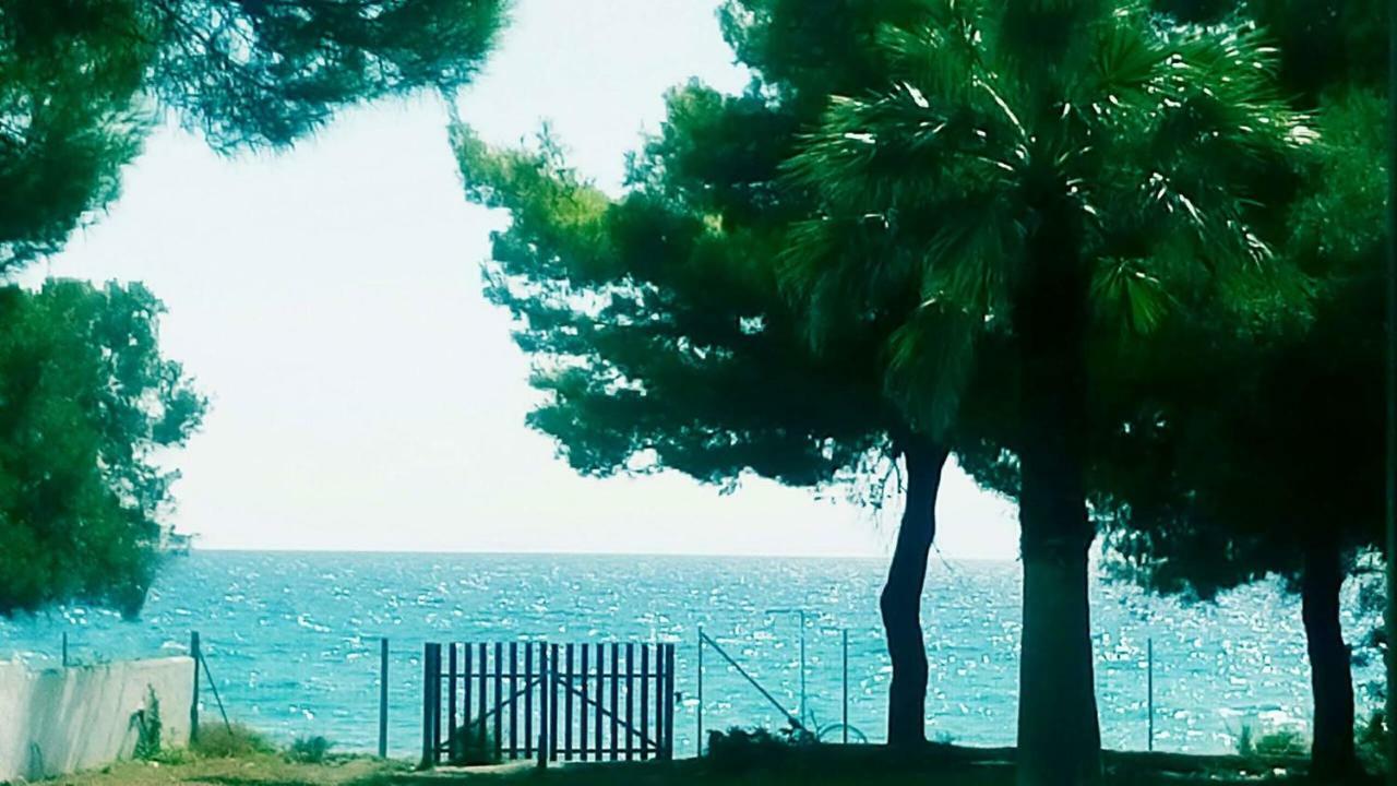 Seafront Villa Joan Неа Скиони Екстериор снимка