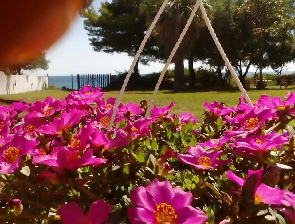 Seafront Villa Joan Неа Скиони Екстериор снимка